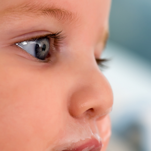 Oral Feeding Support